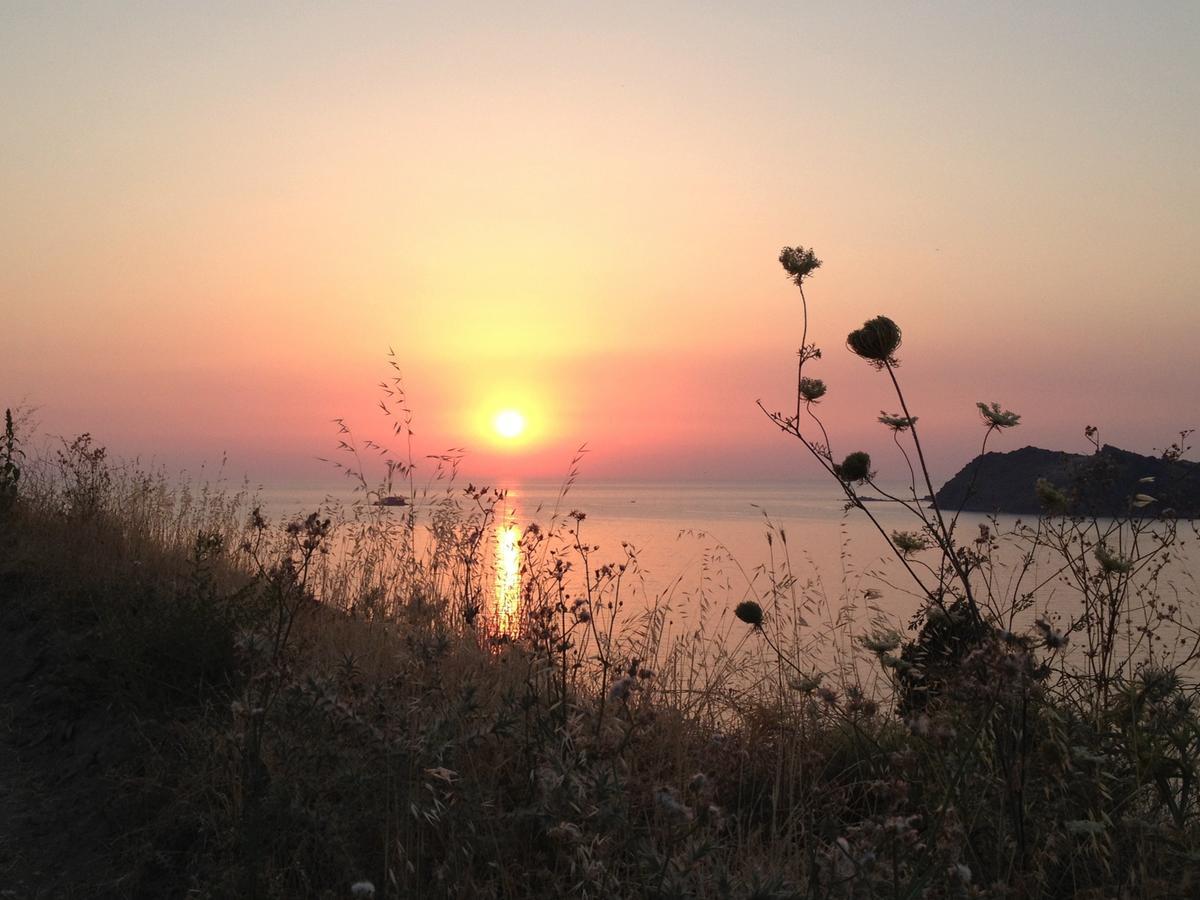 الشقق الفندقية بترافي  Little Bird Lesvos المظهر الخارجي الصورة